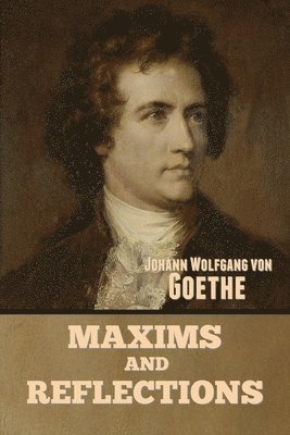 Johann Wolfgang Von Goethe - Maxims and Reflections, Häftad