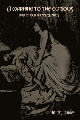bokomslag warning to the curious and other ghost stories