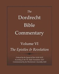 bokomslag The Dordrecht Bible Commentary