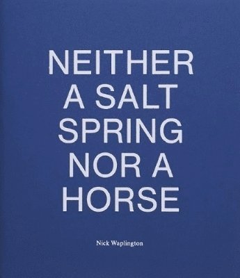 bokomslag Neither a Salt Spring Nor a Horse