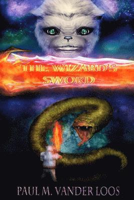 bokomslag Wizard's Sword