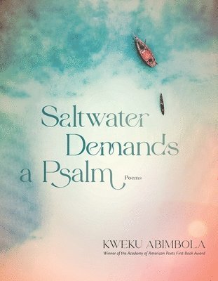 bokomslag Saltwater Demands A Psalm