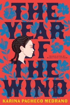 bokomslag Year of the Wind