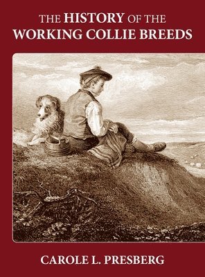 The History of the Working Collie Breeds 1