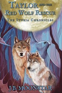 bokomslag Taylor and the Red Wolf Rescue