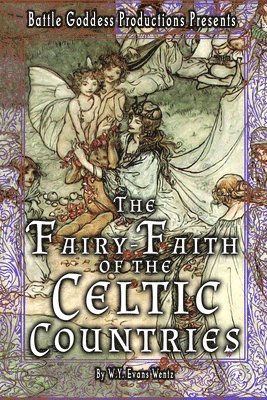 bokomslag The Fairy-Faith of the Celtic Countries with Illustrations