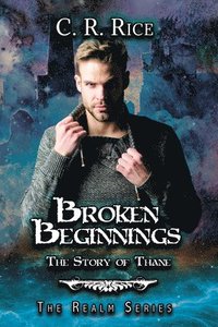 bokomslag Broken Beginnings