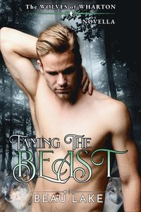 bokomslag Taming the Beast