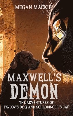 Maxwell's Demon 1