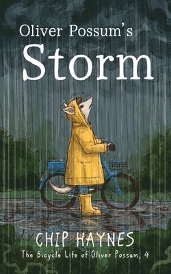 bokomslag Oliver Possum's Storm