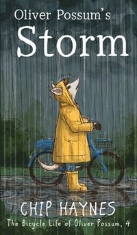 bokomslag Oliver Possum's Storm