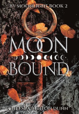 Moon Bound 1