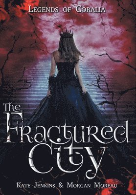 bokomslag Fractured City