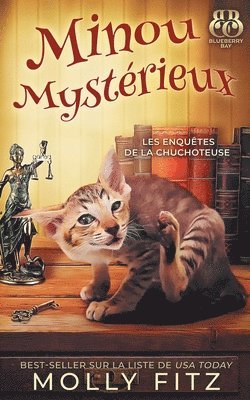 bokomslag Minou Myste&#769;rieux