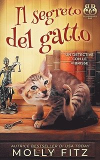 bokomslag Il segreto del gatto