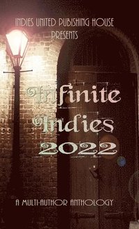 bokomslag Infinite Indies