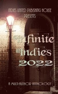 bokomslag Infinite Indies