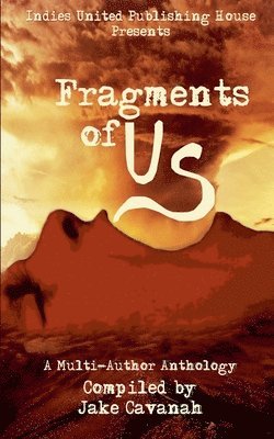 bokomslag Fragments of Us