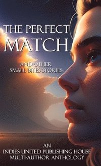 bokomslag Perfect Match
