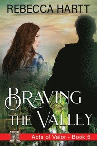 bokomslag Braving the Valley