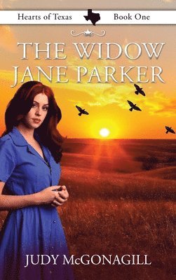 bokomslag Widow Jane Parker