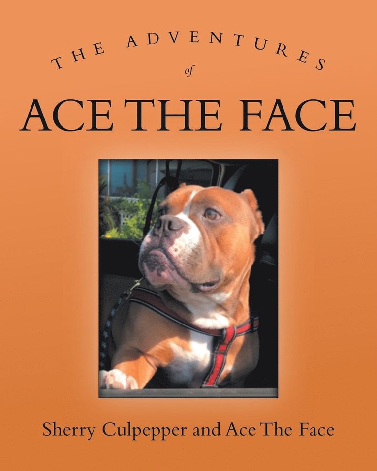 The Adventures of Ace The Face 1