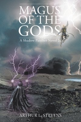 bokomslag Magus of the Gods