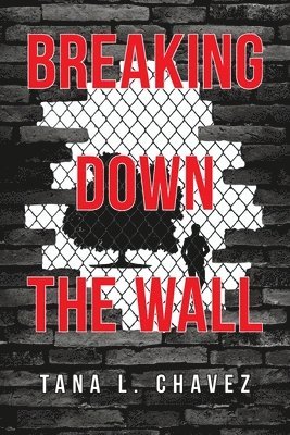 Breaking Down the Wall 1