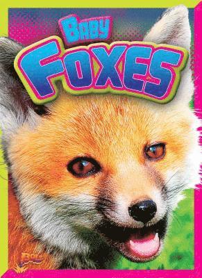 Deanna Caswell - Baby Foxes, Häftad