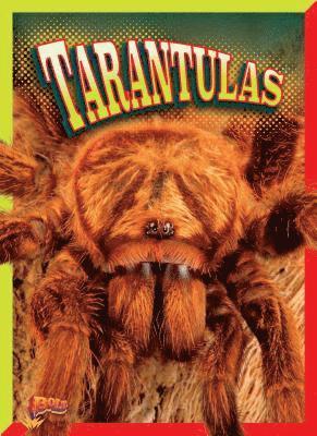 Marty Gitlin - Tarantulas, Häftad