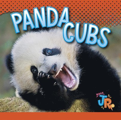 Panda Cubs 1