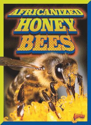 Scott Pearson - Africanized Honeybees, Häftad