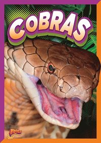 bokomslag Cobras