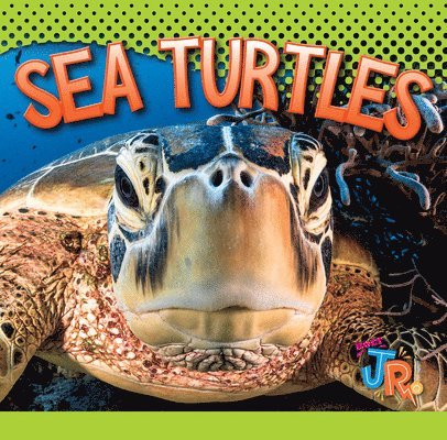 Marysa Storm - Sea Turtles, Häftad