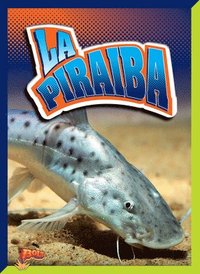 bokomslag La Piraiba