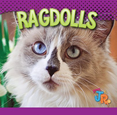 Marysa Storm - Ragdolls, Inbunden