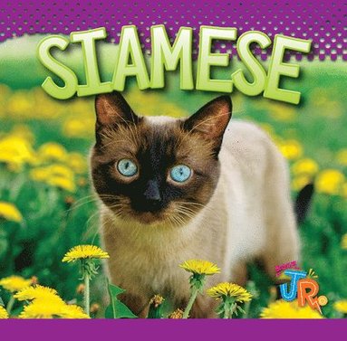 bokomslag Siamese