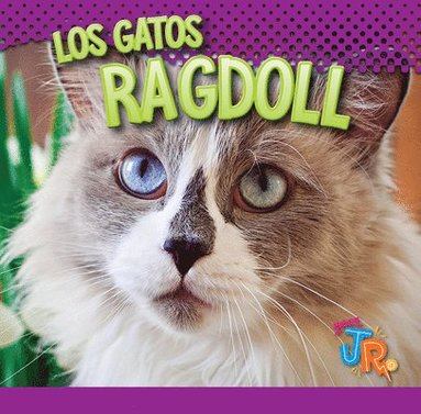 bokomslag Los Gatos Ragdoll