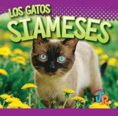 bokomslag Los Gatos Siameses