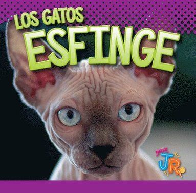 bokomslag Los Gatos Esfinge