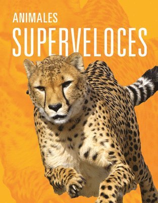 bokomslag Animales Superveloces