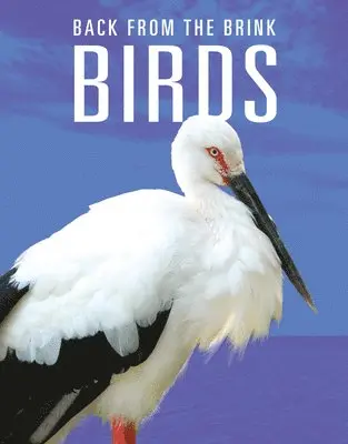 Joanne Mattern - Birds: Back from the Brink, Häftad. Tillgänglighet: Lägg i varukorg