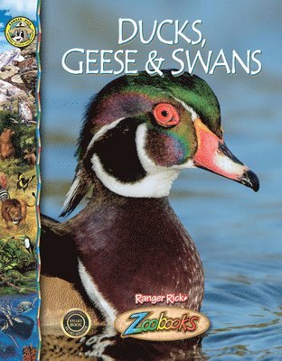 John Bonnett Wexo - Ducks, Geese and Swans, Inbunden