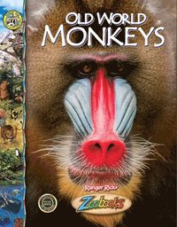 bokomslag Old World Monkeys