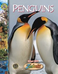 bokomslag Penguins