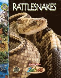 bokomslag Rattlesnakes