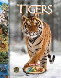 bokomslag Tigers