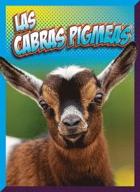 bokomslag Las Cabras Pigmeas: Spanish Edition