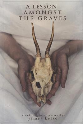 James Kelso - A Lesson Amongst the Graves, Häftad