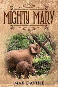 bokomslag Mighty Mary